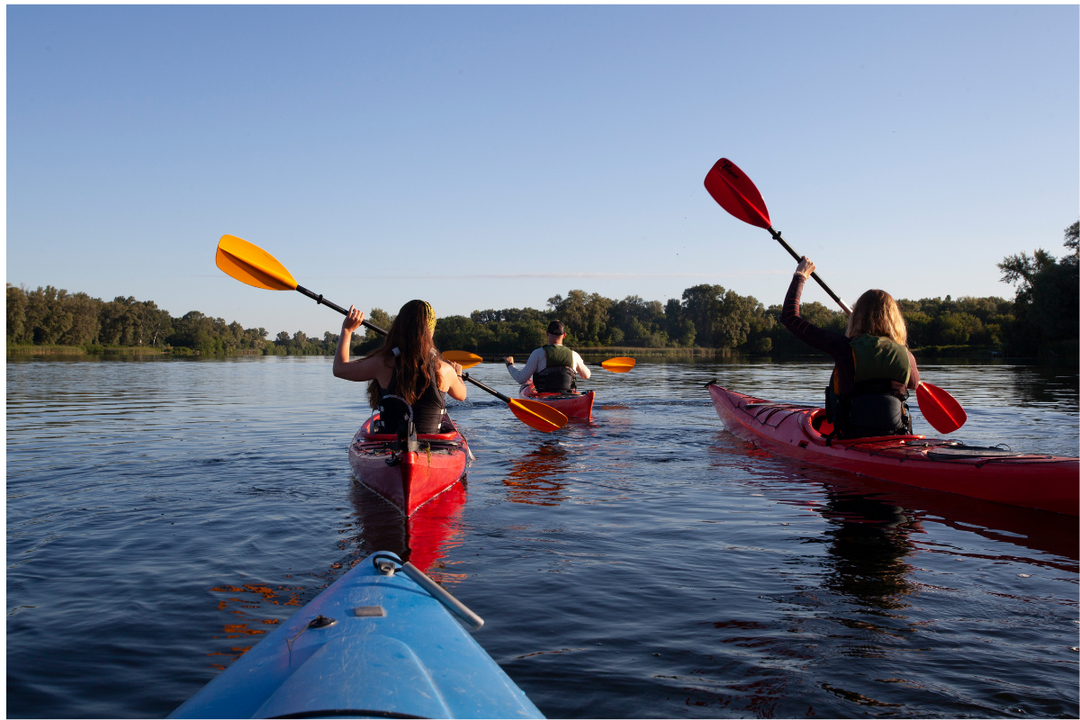 Kayaking Through the Noosa Everglades: A Journey of Stillness and Wildness