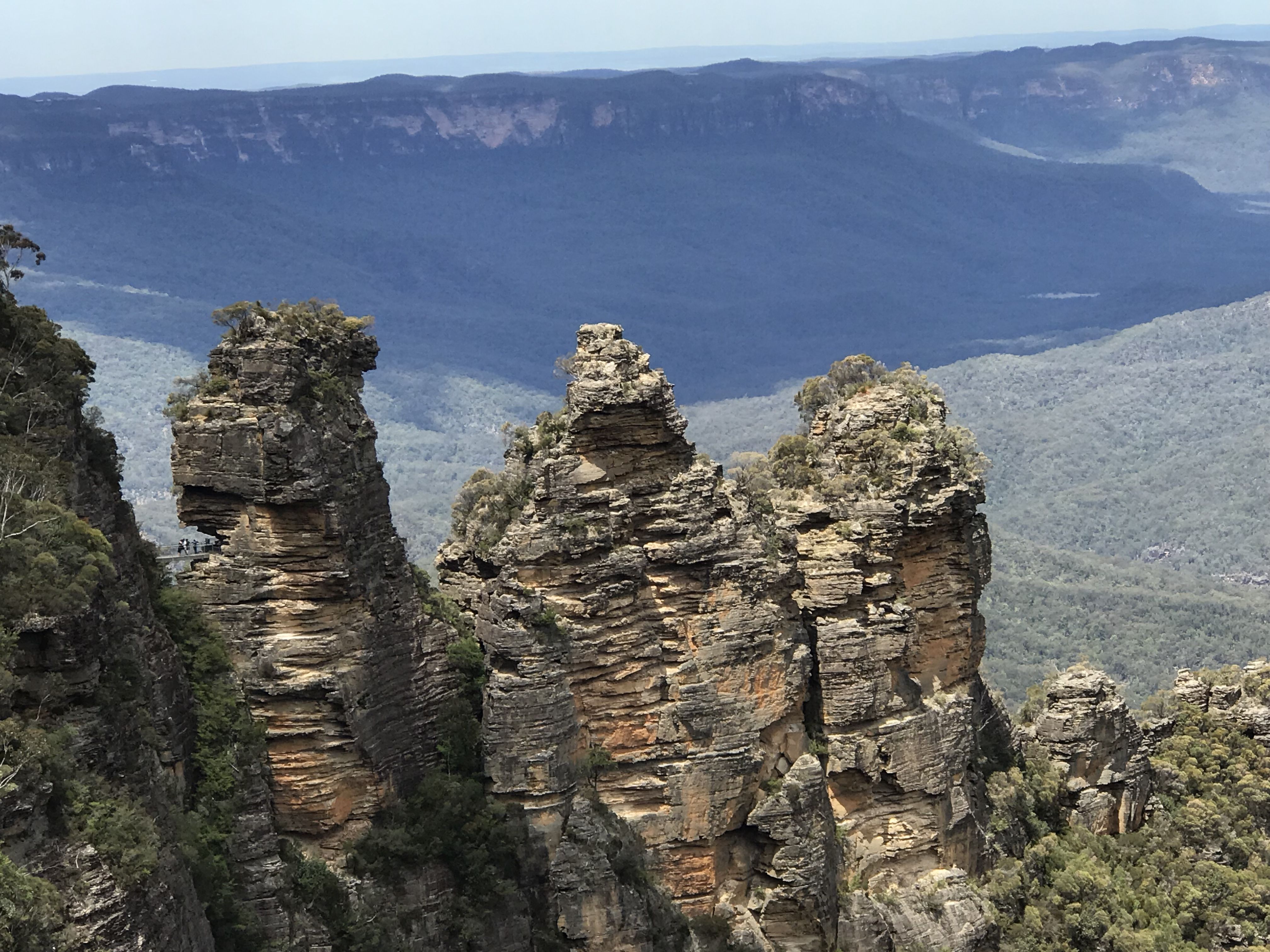 Lost in the Mist: A Rainy-Day Hike in the Blue Mountains